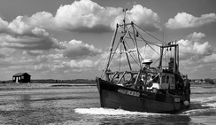 安全的自助渠道推荐的短信轰炸机在线网页版