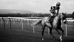 卡密秒发平台的短信压测网站