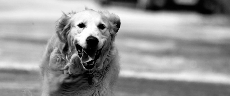 迷你轰炸机平台